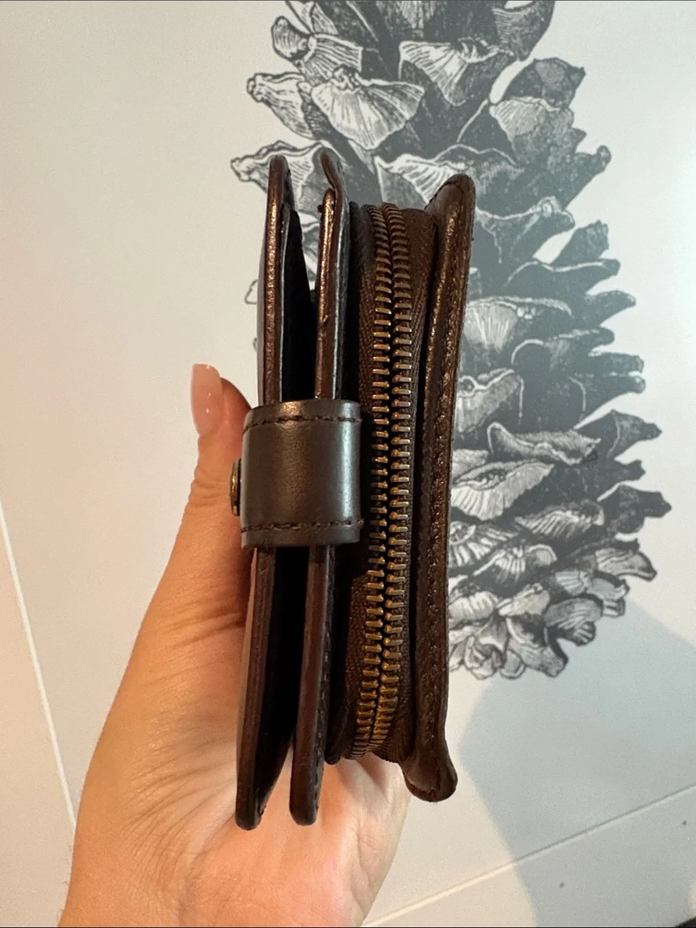 Louis Vuitton classic brown
